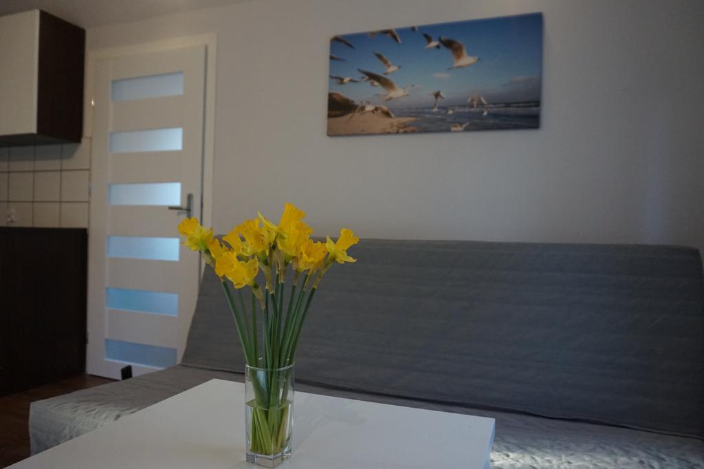 Apartamenty I Domki Osinscy Braniewo Exterior photo